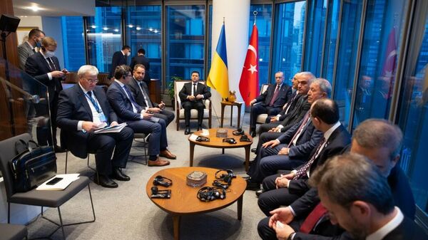 Президент Украины Владимир Зеленский и президент Турции Тайип Эрдоган во время встречи в Нью-Йорке