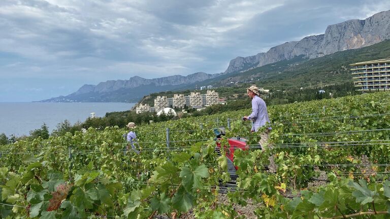 Винодельня Winepark в Крыму