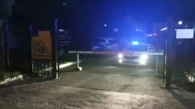 Видео с территории, где обнаружили мертвым главу СК Пермского края