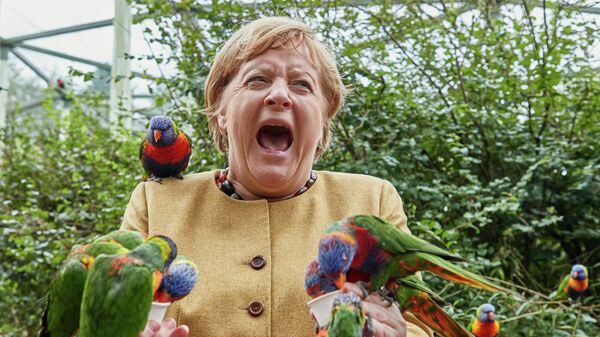 Канцлер Германии Ангела Меркель в Парке птиц в городе Марлов, Германия