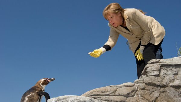 Канцлер Германии Ангела Меркель кормит пингвина во время посещения аквариума Ozeaneum в немецком городе Штральзунд