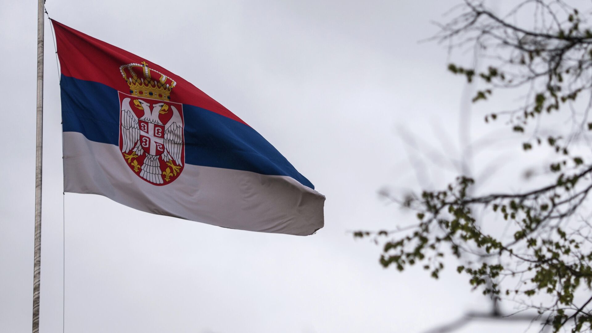 Государственный флаг в посольстве Республики Сербия в РФ в Москве - РИА Новости, 1920, 03.05.2022
