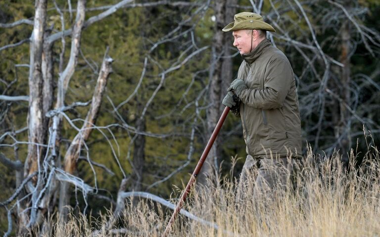 Президент РФ Владимир Путин во время прогулки в тайге