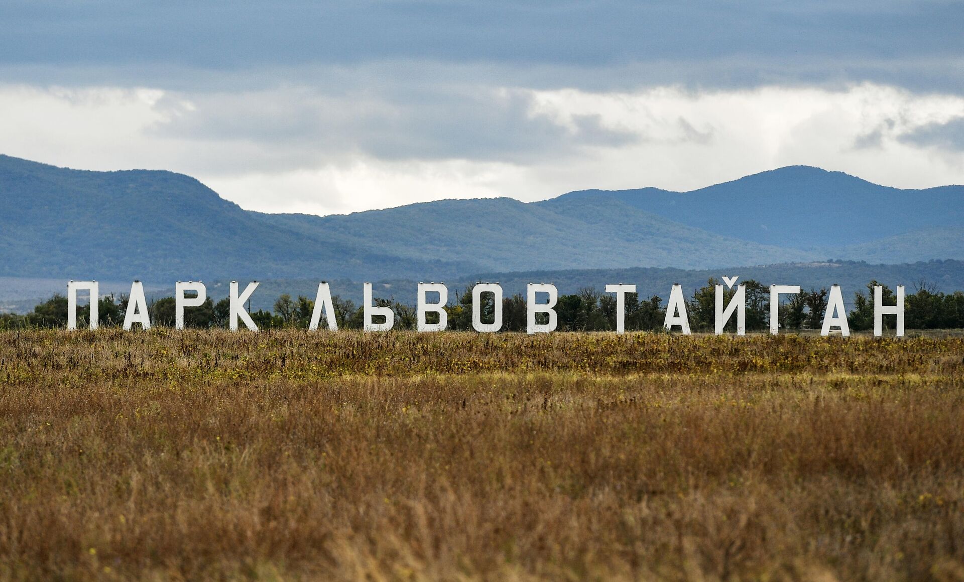 Сафари-парк Тайган в Крыму - РИА Новости, 1920, 12.08.2022