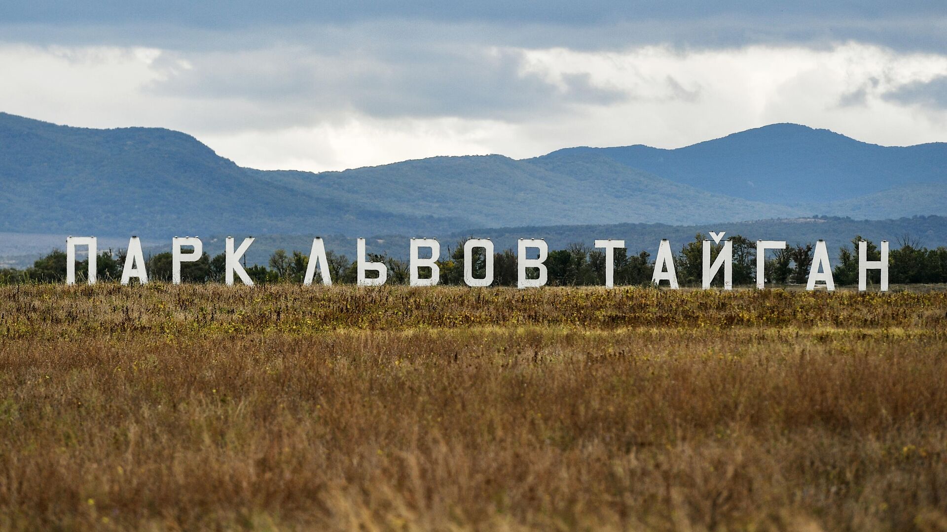 Сафари-парк Тайган в Крыму - РИА Новости, 1920, 27.09.2021