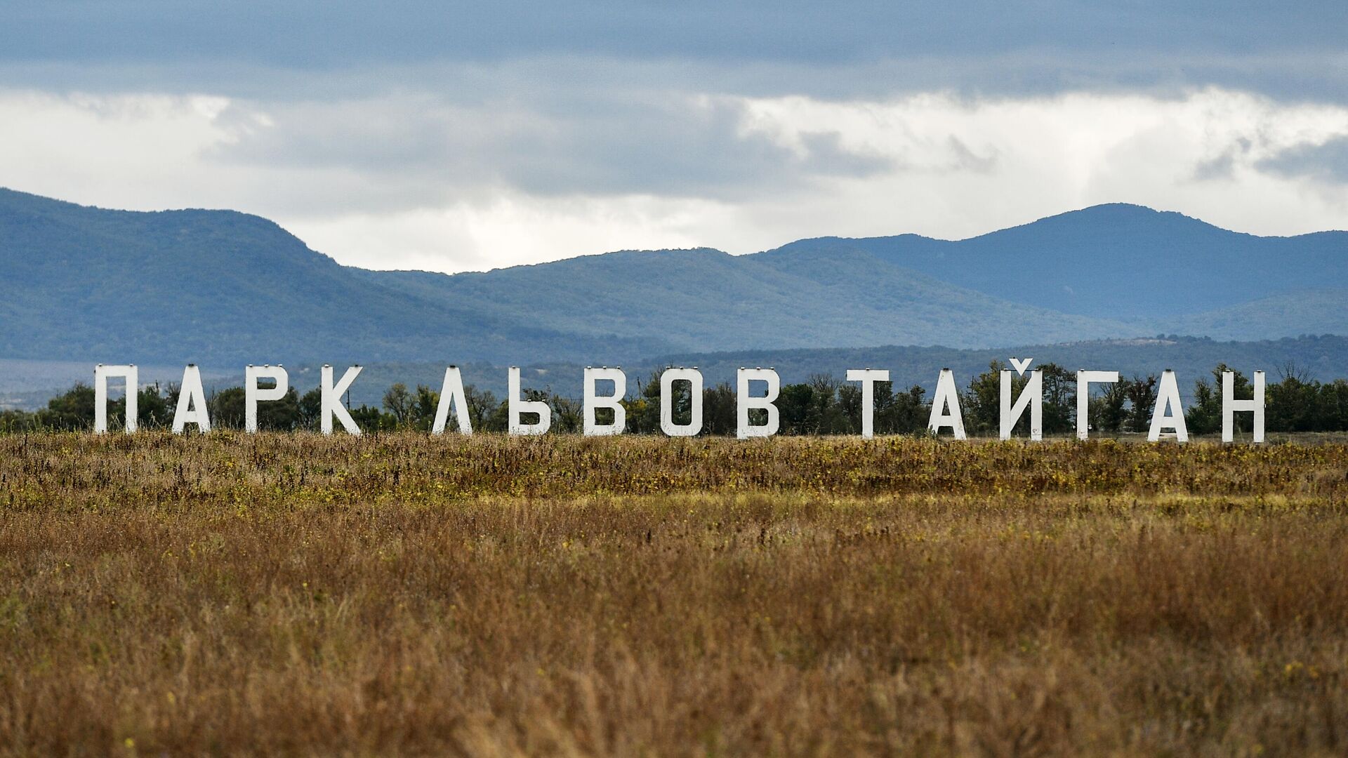 Парк львов  Тайган в Крыму - РИА Новости, 1920, 26.03.2023