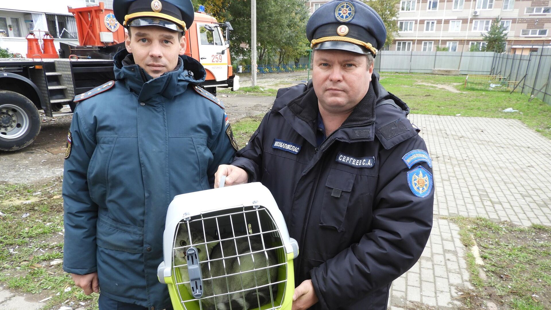 Работники 259-й пожарно-спасательной части ногинского Мособлпожспаса совместно со спасателями Центроспаса МЧС России спасли кошку из дома №9А по улице 28 июня в Ногинске - РИА Новости, 1920, 27.09.2021