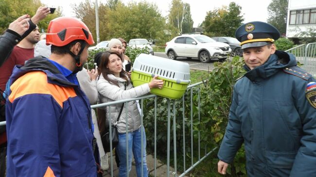 Спасение кошек из дома в Ногинске, где произошел взрыв бытового газа