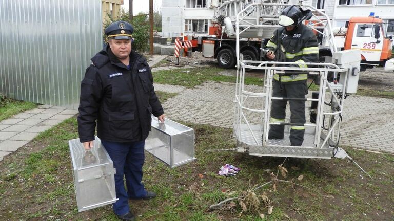 Спасение кошек из дома в Ногинске, где произошел взрыв бытового газа