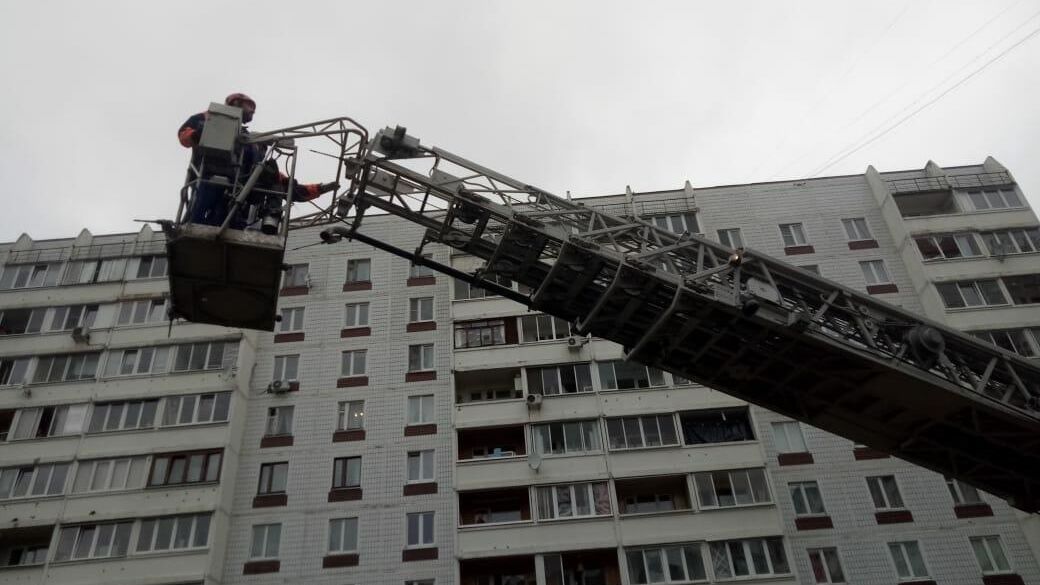 Спасение кошек из дома в Ногинске, где произошел взрыв бытового газа - РИА Новости, 1920, 29.11.2021