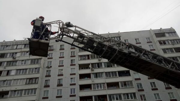 Спасение кошек из дома в Ногинске, где произошел взрыв бытового газа Спасение кошек из дома в Ногинске, где произошел взрыв бытового газа