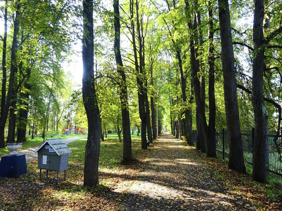 Городской парк, основанный Локаловыми