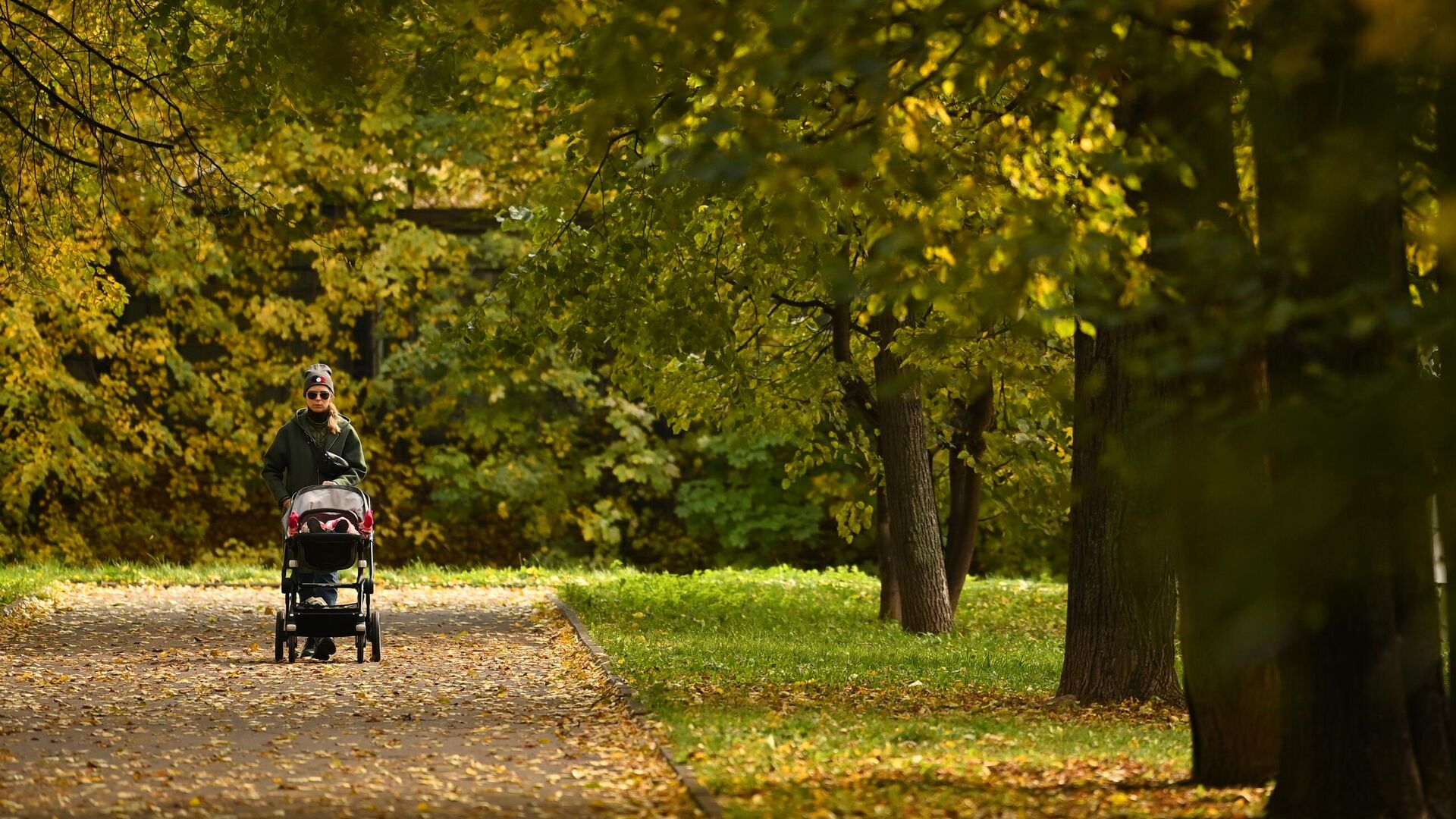 Осень в Москве - РИА Новости, 1920, 28.09.2025