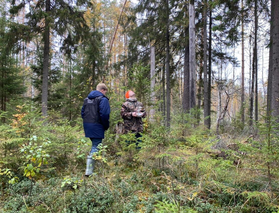 В Тверской области обнаружено тело несовершеннолетнего, пропавшего в ноябре 2020 года - РИА Новости, 1920, 29.09.2021