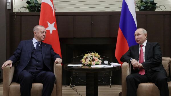 Президент России Владимир Путин и президент Турции Реджеп Тайип Эрдоган во время встречи в сочинской резиденции Бочаров ручей