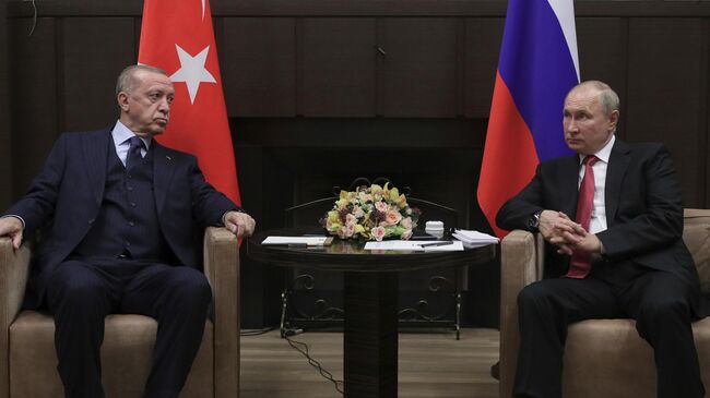 Президент РФ Владимир Путин и президент Турции Реджеп Тайип Эрдоган во время встречи в сочинской резиденции Бочаров Ручей