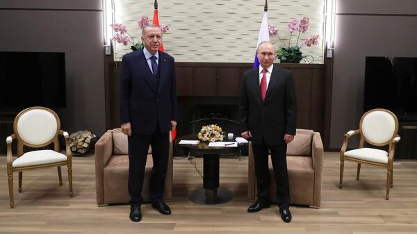 Президент РФ Владимир Путин и президент Турции Реджеп Тайип Эрдоган во время встречи в Сочи