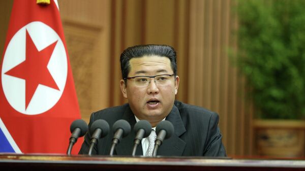 Лидер Северной Кореи Ким Чен Ын на заседании второго дня 5-й сессии 14-го Верховного народного собрания Корейской Народно-Демократической Республики