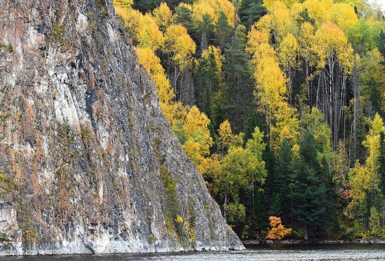 Сибирская тайга в осенних красках на берегах реки Енисей в Красноярском крае