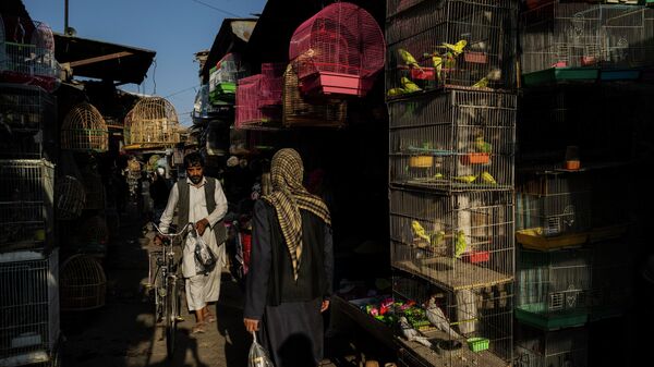 Мужчина на рынке в Кабуле, Афганистан 