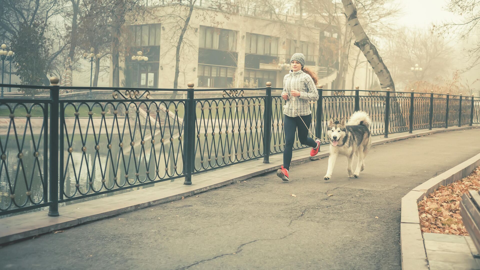 Девушка во время пробежки с собакой породы аляскинский маламут - РИА Новости, 1920, 04.10.2021