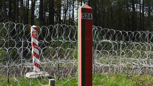 Пограничные столбы на белорусско-польской границе возле деревни Уснар-Дольное