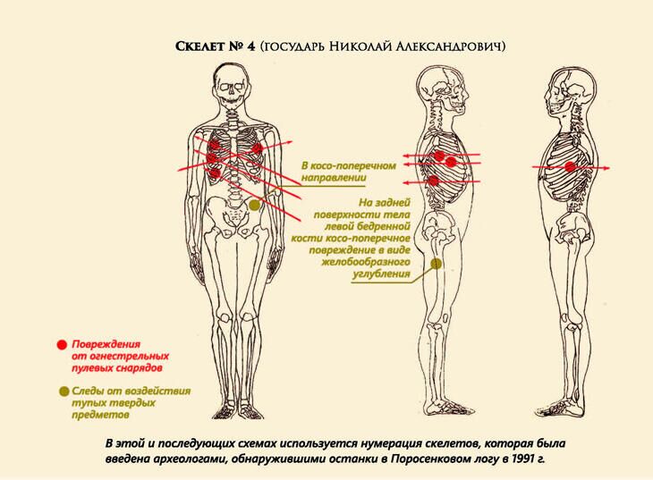 Скелет государя - РИА Новости, 1920, 01.10.2021