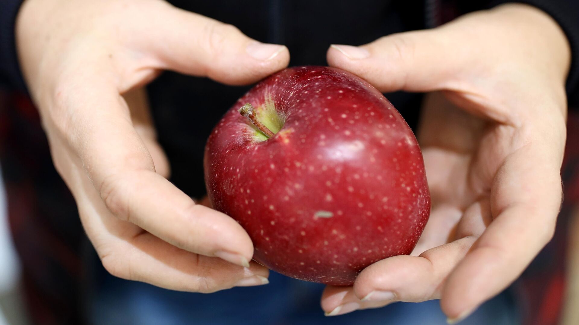 Нутрициолог Цапкина: яблоки снижают вероятность рака, но опасны в большом количестве