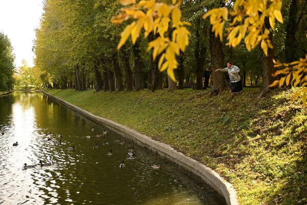 Женщина кормит уток в парке Красная Пресня в Москве