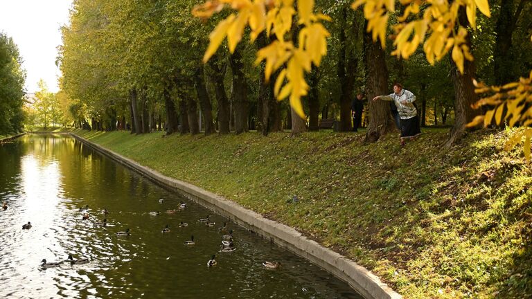 Женщина кормит уток в парке Красная Пресня в Москве