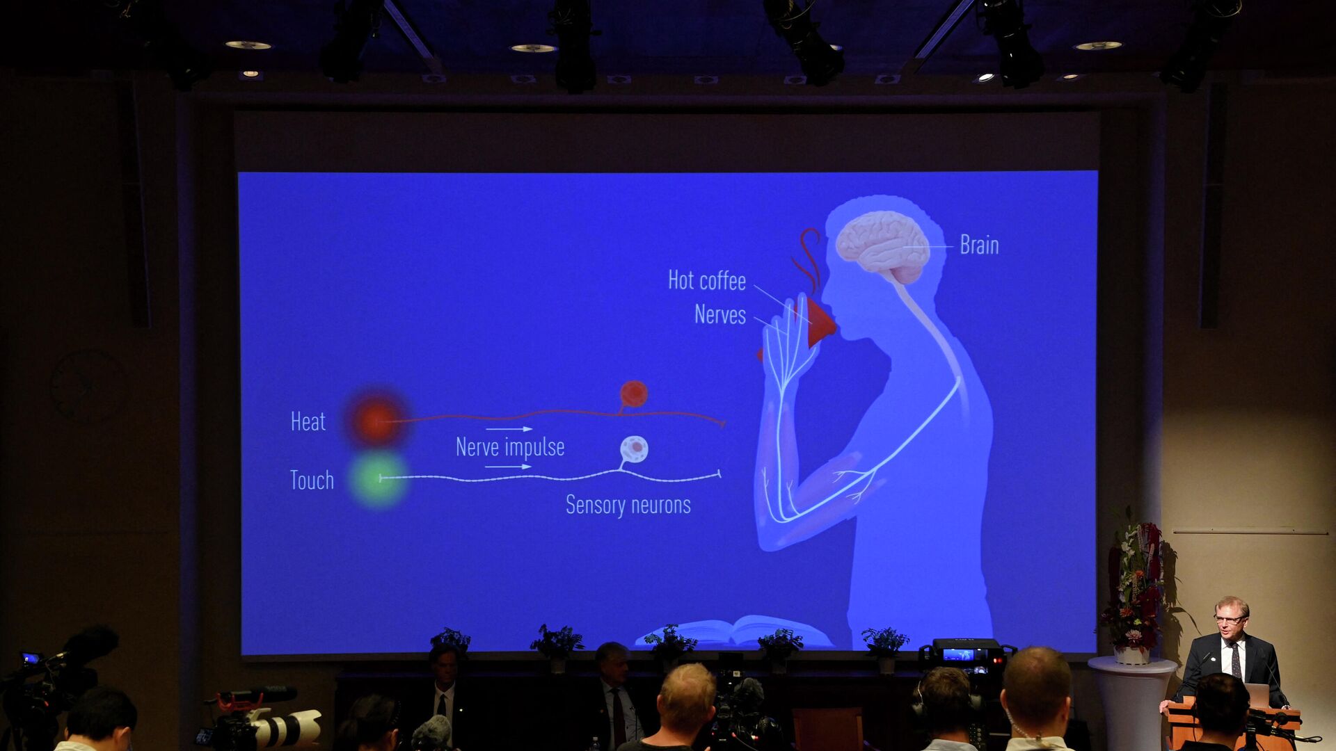 Объяснение сферы исследований лауреатов Нобелевской премии 2021 года по физиологии и медицине Дэвида Юлиуса и Ардема Патапутяна во время пресс-конференции в Каролинском институте в Стокгольме - РИА Новости, 1920, 05.10.2021