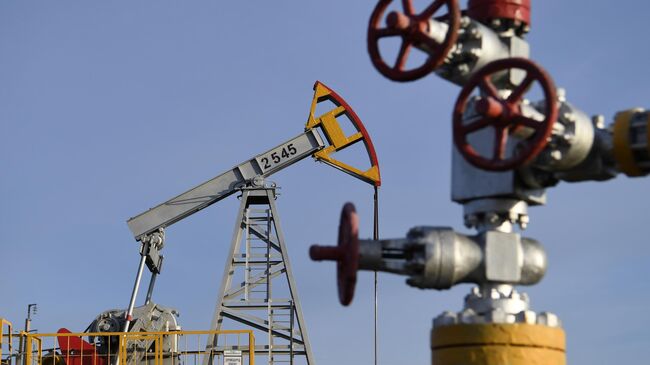 Новак оценил рост поставок нефти из России в Индию