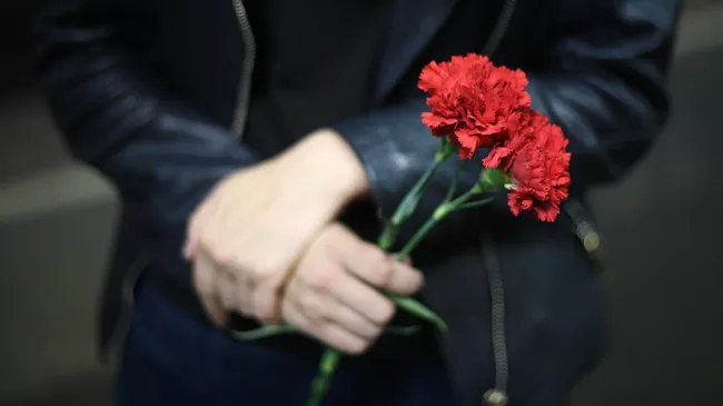 Девушка держит гвоздики 