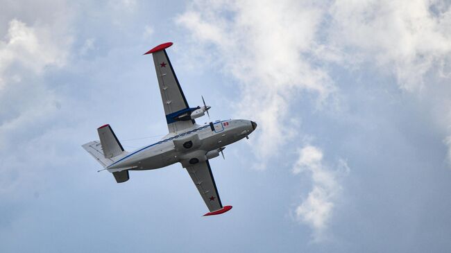 Самолет L-410