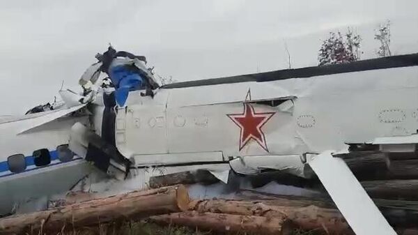 Легкомоторный самолет L-410, разбившийся в нескольких километрах от Мензелинска в Татарстане (скриншот видео)