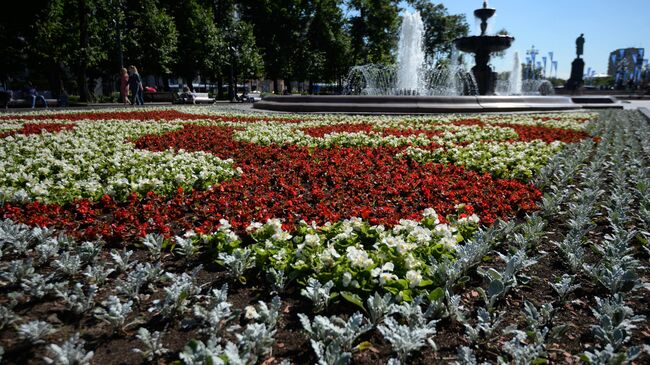 Цветник на Пушкинской площади в Москве