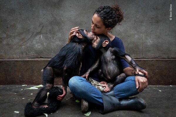 Работа фотографа Brent Stirton в фотоконкурсе Wildlife Photographer of the Year 2021 Работа фотографа Brent Stirton в фотоконкурсе Wildlife Photographer of the Year 2021