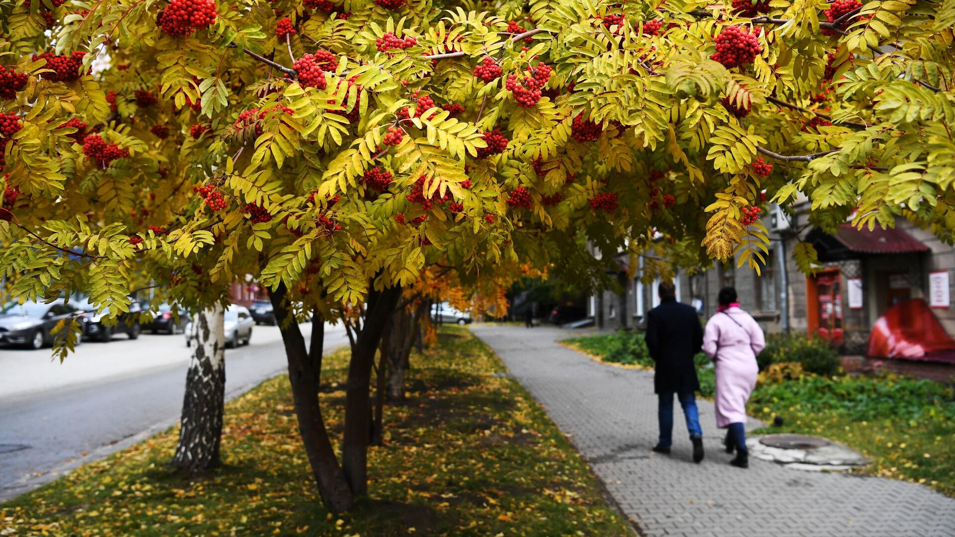 Осень - РИА Новости, 1920, 14.10.2021