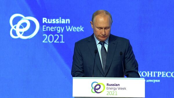 Путин: Рост цен на газ в Европе стал следствием дефицита электроэнергии, а не наоборот