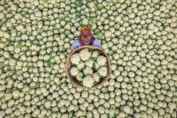 Работа фотографа Рафида Ясара Счастливый фермер. Моя Планета, одиночные фотографии, Особая отметка жюри
