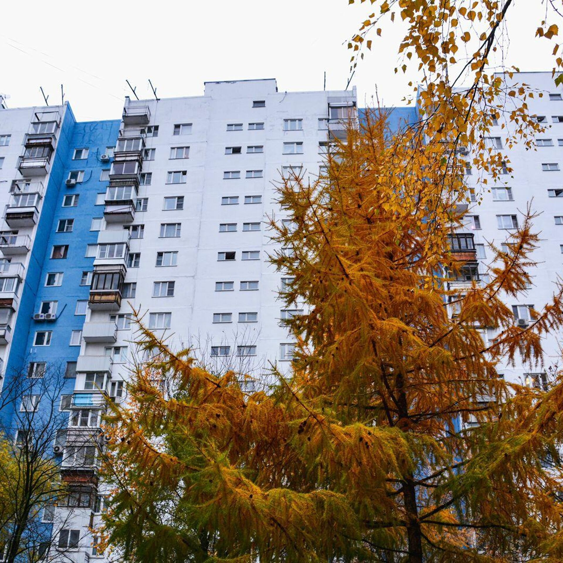 В Москве отремонтировали фасад дома в Крылатском - Недвижимость РИА  Новости, 14.10.2021