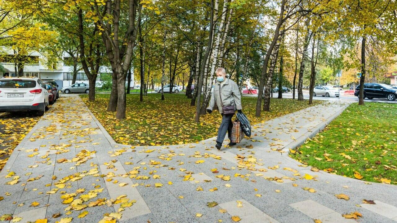 Благоустройства около станции БКЛ Аминьевская - РИА Новости, 1920, 15.10.2021