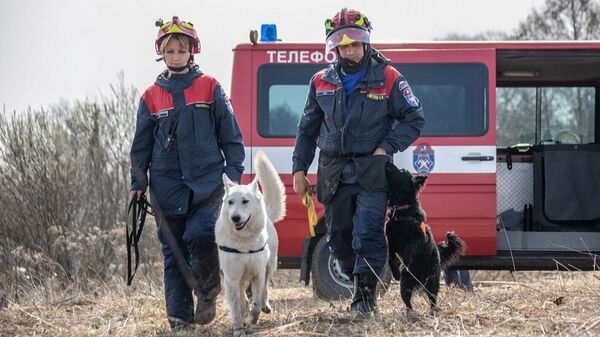 Специалисты кинологической группы столичного Пожарно-спасательного центра с собаками