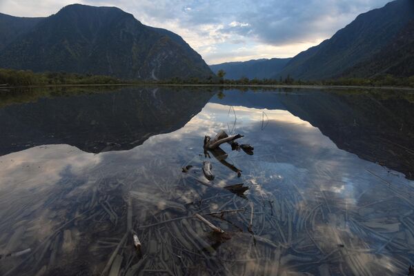 Мыс Кырсай и Южный берег Телецкого озера в Республике Алтай