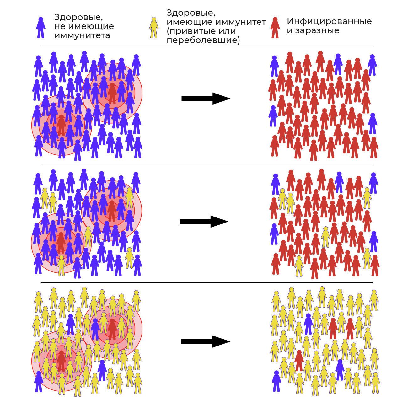 Три сценария последствий событий суперраспространения в зависимости от уровня иммунитета в популяции - РИА Новости, 1920, 18.10.2021