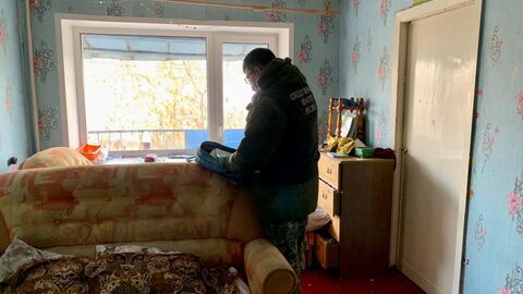 Поиски пропавшей в Вологде 9-летней девочки Поиски пропавшей в Вологде 9-летней девочки