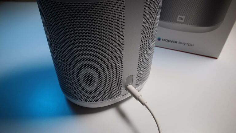 Xiaomi Mi Smart Speaker