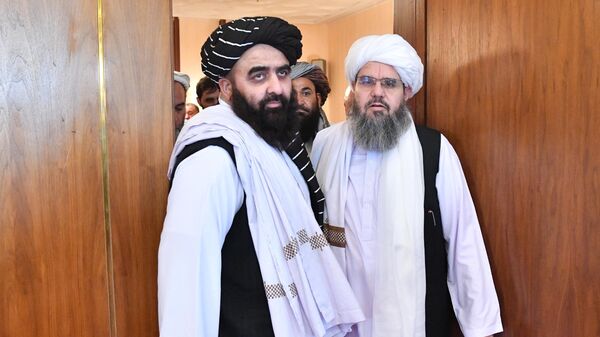 Амир Хан Мутаки и представитель политического совета движения Талибан* Шахабуддин Делавар