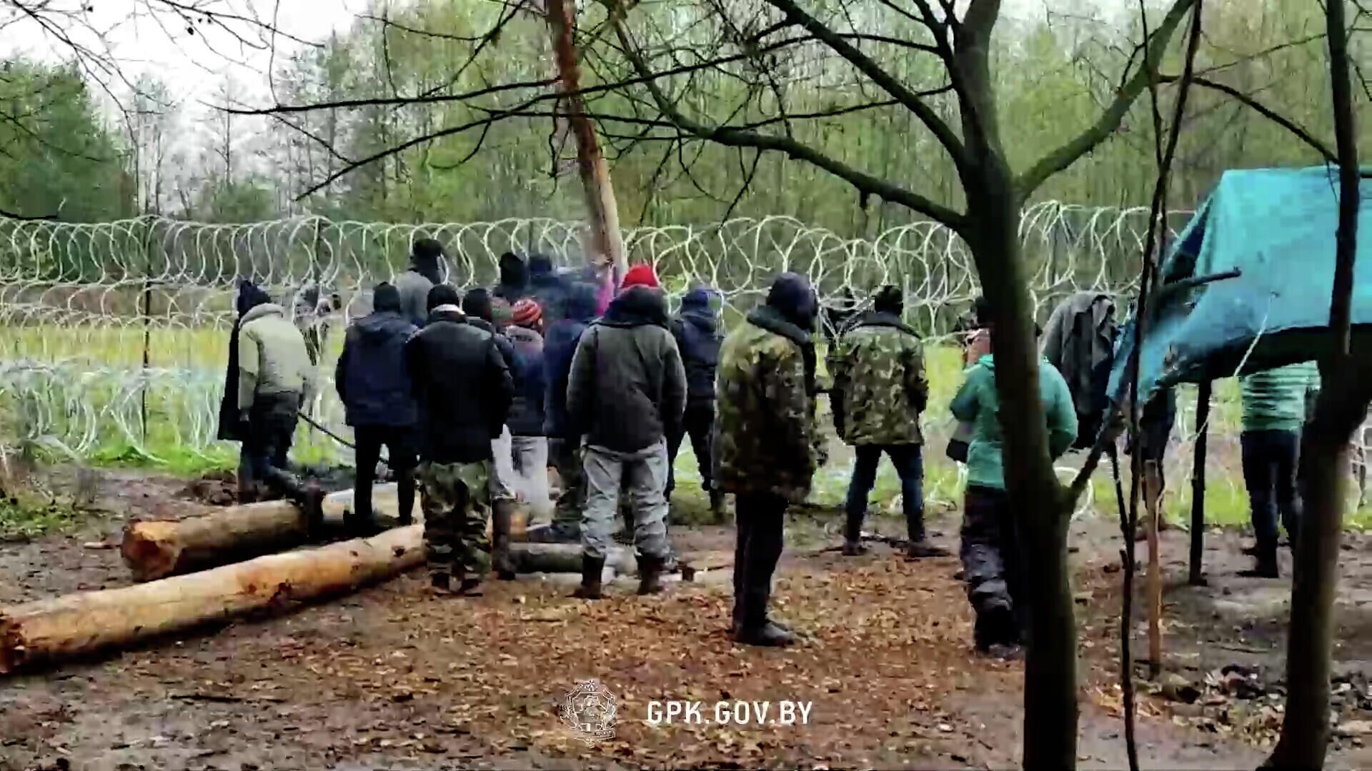 Кадры задержания афганцев на польско-белорусской границе  - РИА Новости, 1920, 20.10.2021