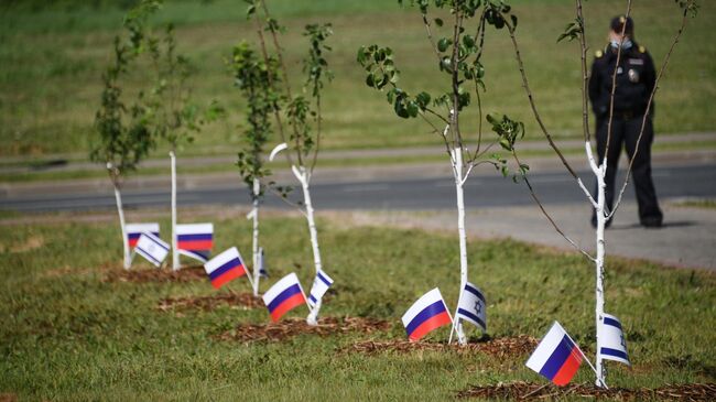  Аллея Дружбы на территории Инновационного центра Сколково